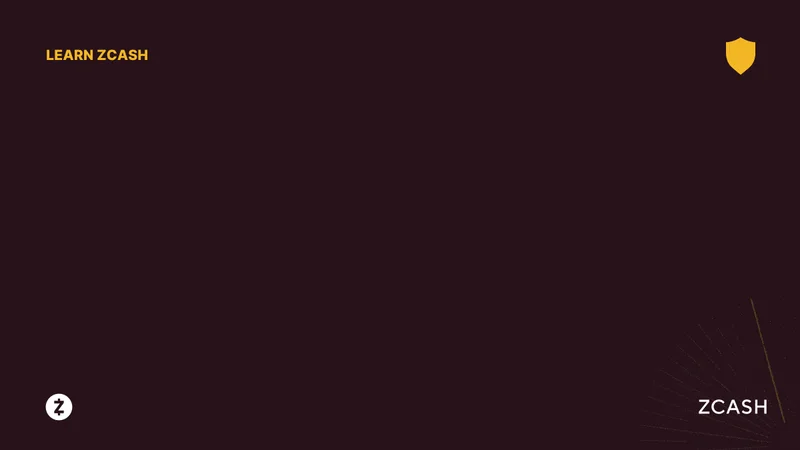 Zcash Rising Against Bitcoin: What's Driving the Price Surge and Reddit's Take